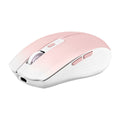 Mouse TNB GRADIENT Pink