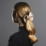 V3H68FE8E791A3AE3A0C28CFF548975898AR5878222P10