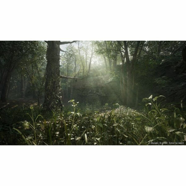 V3HCE056A1CE00F918BEF9AF0E9554FF705R6915943P5