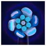 V2H381CDC99655D522740ADC891B309A07BR7549855P8