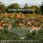 V4HC53C72842D243E3D18D4DC0E042E5246R6643282P9