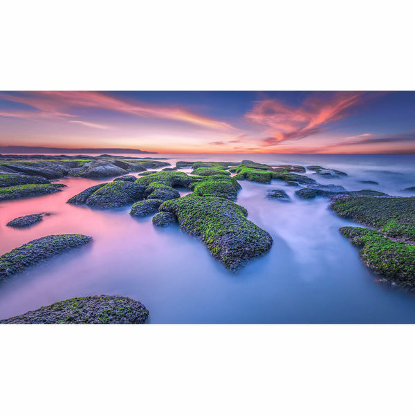 V5H9BC28261EE62E8FD7269C8D179461D14R5571588P4