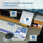 V3HEDB78856F20FBAB95FC17CEB555ABB7BR7289238P10