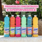 V3HBB4294E1B38AE81FB27FDBF04E787427R7239561P9