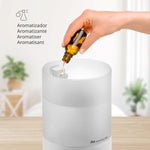 V3H56A15E4D909C001E1ED6DE2758129261R7529199P4