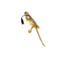 Wall Lamp DKD Home Decor Golden Resin 25 W Parrot (14 x 11,5 x 46 cm)