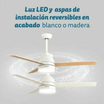 V3HFC75E3117B321B501735F3CBEBCD232BR5786414P6