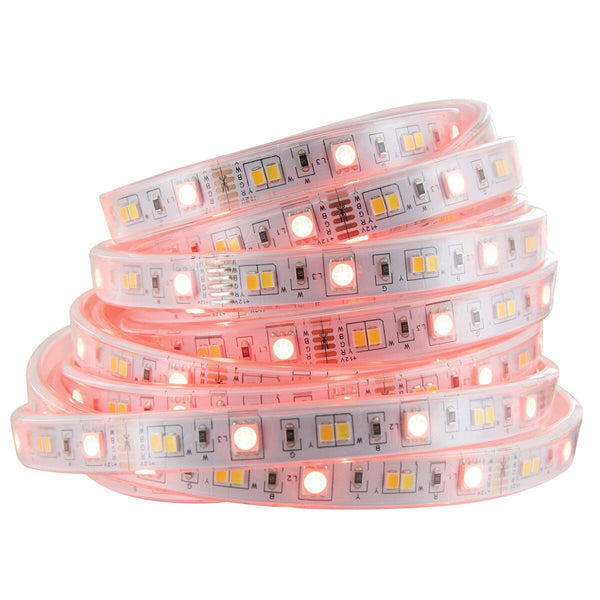 V1H420E6F2E726CA4E401C239C375744A96RP9