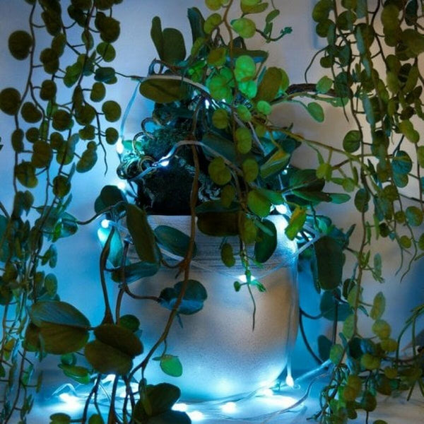 V2HAD6AF99CBF819491283E890EB7486C69R7572516P7