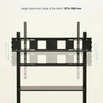 V3H900FFF186088F341FC953218BB387401R6437182P8