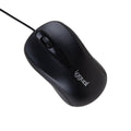 Mouse iggual IGG318867