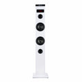 Speaker NGS ELEC-SPK-0666 White 50W