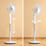 V2H41003FDE2EEC9C943560E758F651B329R6246659P6