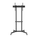 V4H01024138CEDDAA7C801AC7710F1973E4R5728019P2