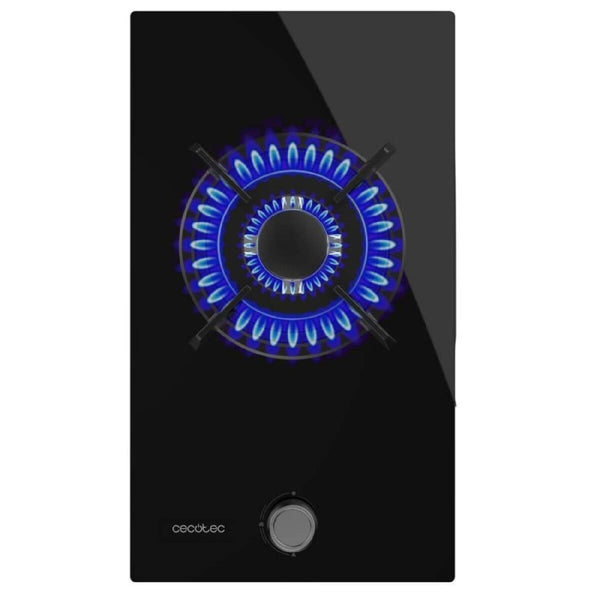 V3H08DE4C42575529CDA5CD9931A07AAE8FR7402003P2