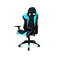 Gaming Chair DRIFT DR300