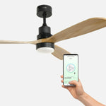 V4H7976A6FEF2F7E97C50F7840A1955F201R6752859P4