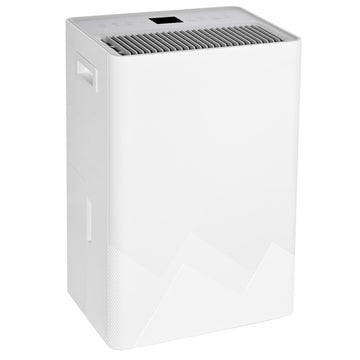 Dehumidifier Artica ADD20EWG1 265 W 20 L