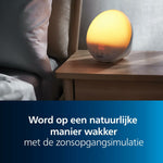 V4H33173050B34003D1DF6A4E92B6379BB7R7197610P9