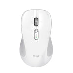 V3HDA17C7DFEF2B3CB508F01D96FF47F0C9R7357447P5