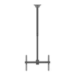 V4H0916CC578E2E413181A1257FD5E478E6R5749250P9