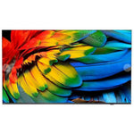 V7HA67530342C9FBB6B59EDF76A9F70F04DR5006780P1