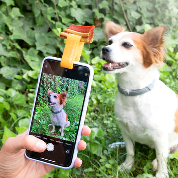 Selfie Clip for Pets Pefie InnovaGoods